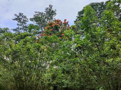 -中国移动南方基地