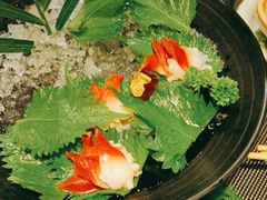 加拿大深海北极贝-德川家日本料理(中关村寰太大厦店)