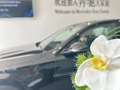 -奔驰利星行(北京花乡店)