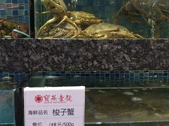 -宝燕壹号(徐汇店)