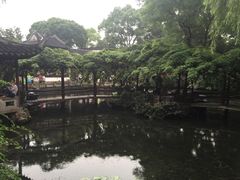 -蟹肉煲蟹肉(阊胥路店)