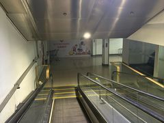 -BLACKSWAN黑天鹅(环球店)