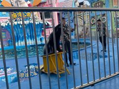 -华夏文旅海洋公园