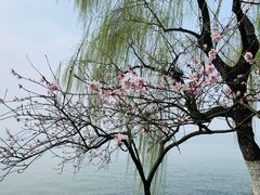 -西湖天地