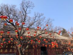 -香山公园