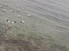 -青海湖二郎剑景区