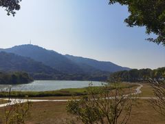 -风云岭森林公园