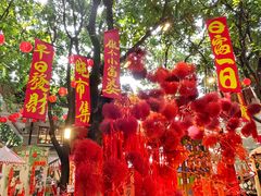 -黄祥华养生堂·炖汤·营养蒸饭(岭南天地店)