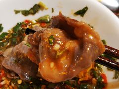 -镇江龙·火锅串串(武侯祠店)