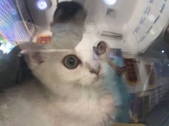 -宠颐生宠物医院外科·内科·皮肤科·影像科(石龙店)