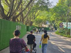 -火炉山森林公园