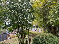 -崇阳三特浪口温泉