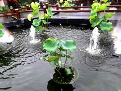 -濮园 · 四合院餐厅