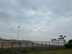 -鹦鹉洲湿地公园