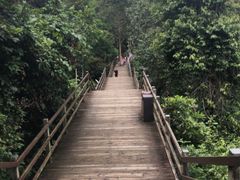 -野象谷景区