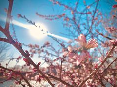 -北运河水利风景区