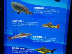 -广州海洋馆