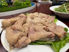 -丁老爷子苏香圆
