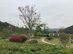 -龙寺生态园