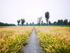 -汉长安城未央宫国家考古遗址公园