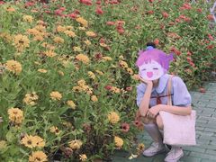 -迪茵湖田家舍生态农场