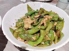 青辣椒炒肉-壹盏灯(惠农店)