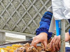 -老号尤兔头(幸福店)