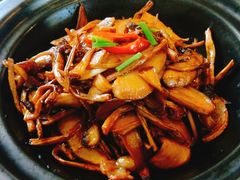 菌皇砂锅煲-瓦库茶馆17号(海汇港店)