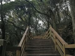-青龙山公园