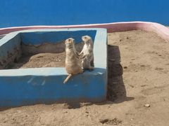 -宿豫区运河湾森林动物园