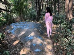 -火炉山森林公园