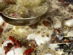 -金三可市井水煮鱼(金碧园店)