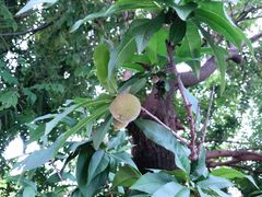 -渭南桃花源民俗文化园