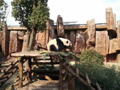 -泉州海丝野生动物世界