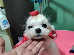 -宠颐生动物医院·小陆分院