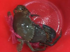 -三辣馆