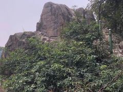 -南山植物园