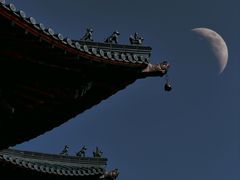 -杭州半山国家森林公园