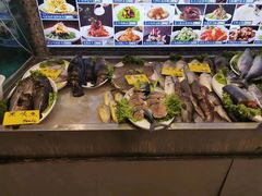 -俏东方·海味水饺·青岛菜(崂山店)