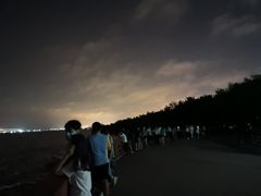 -宝安西湾红树林湿地公园