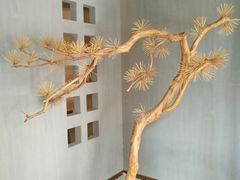 -春熙台韩国料理·章鱼肥牛(西丽店)