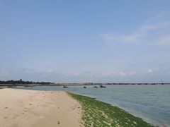 -北海金海湾红树林生态旅游区