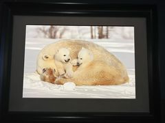 -罗红摄影艺术馆