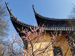 -红梅公园