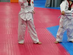 -陈中跆拳道(中关村馆)