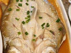 清蒸白丝鱼-沈厅酒家(周庄店)