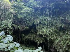 -海口火山口国家地质公园