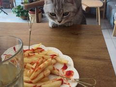 -平行世界·猫咖(首经贸店)