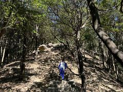 -梧桐山风景名胜区