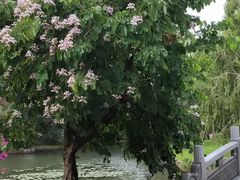 -荔枝公园(福田区)
